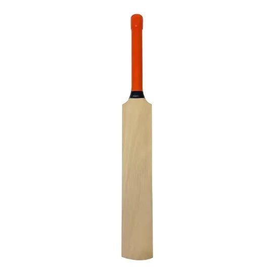 Outdoor Sports Kashmir Willows cricket racket with wooden sports bat for training