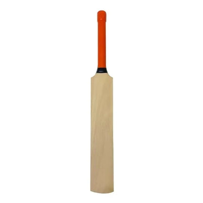 Outdoor Sports Kashmir Willows cricket racket with wooden sports bat for training